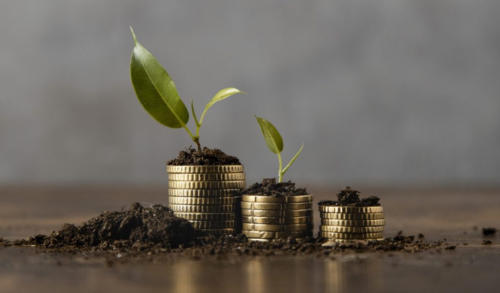 stacked-coins-with-dirt-plant (2)